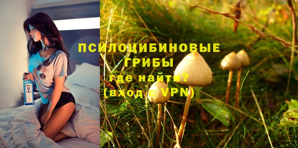 a pvp Володарск