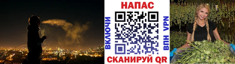 Каннабис сатива  Купить где  Курчалой 